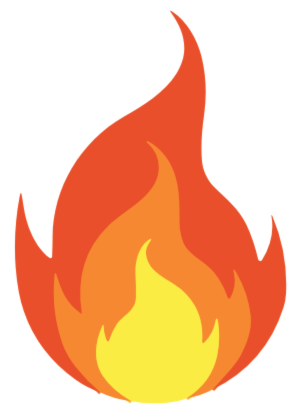 FHIR